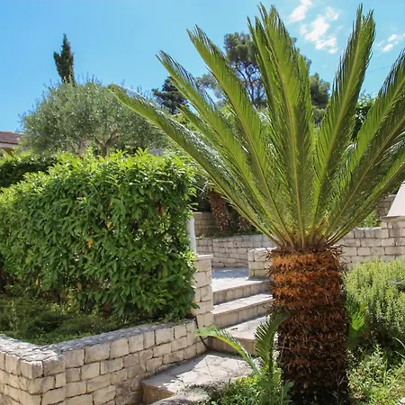 Holiday home Petra Sea View Island Brac Postira